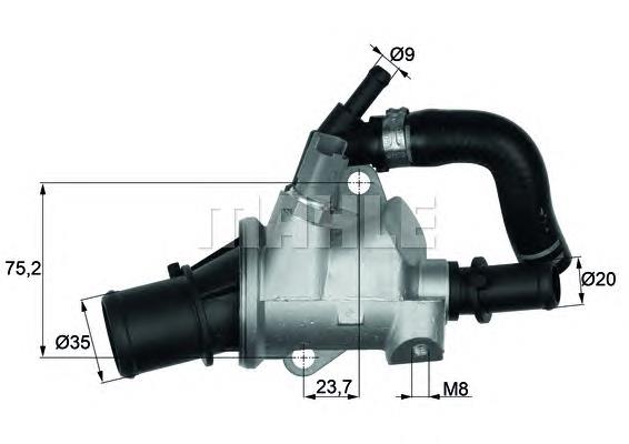 Termostato, refrigerante 55181512 Fiat/Alfa/Lancia