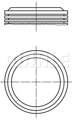 71095400 Proxmann