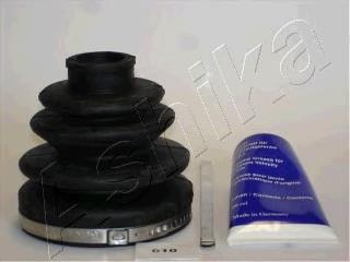 6300010 Ashika