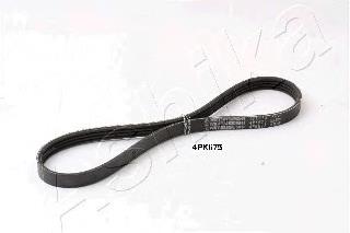 1124PK675 Ashika Correa poly v