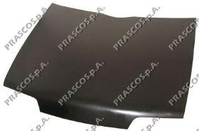 Capó delantero para Citroen ZX  N2