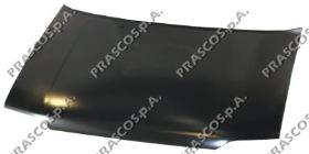 Comprar Capot Escort V GAL, AVL