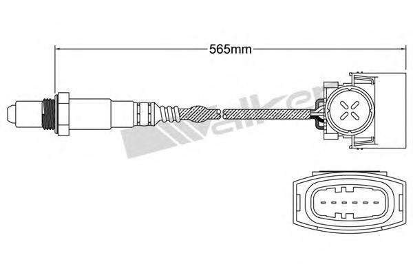 25025010 Walker