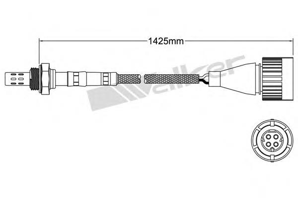 25024021 Walker sonda lambda