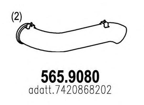 5659080 Asso