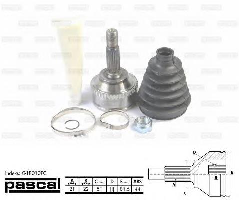 Comprar G1R010PC Pascal Junta homocinetica