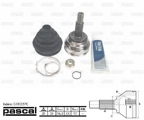 Comprar G1R005PC Pascal Junta homocinetica