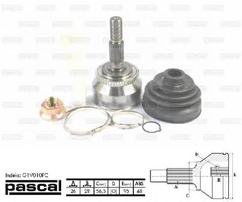 Comprar G1V010PC Pascal Junta homocinetica