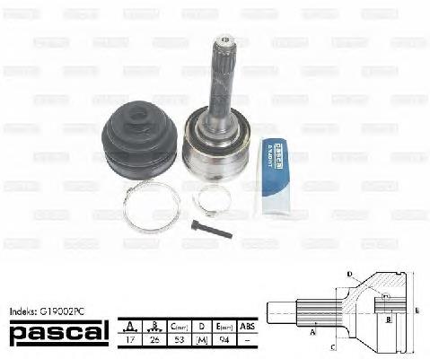 Junta homocinetica G19002PC Pascal