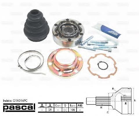 Junta homocinética interior trasera Pascal G1X016PC