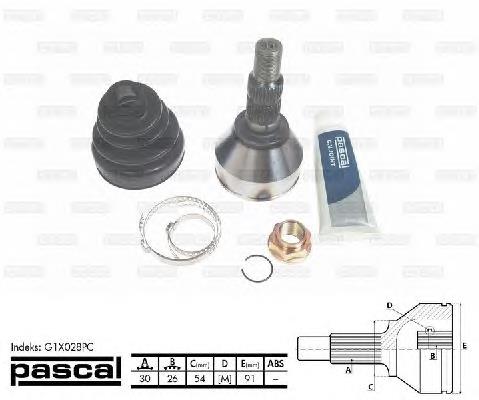 Junta homocinética exterior delantera Pascal G1X028PC