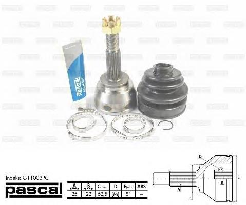 Junta homocinética exterior delantera Pascal G11003PC