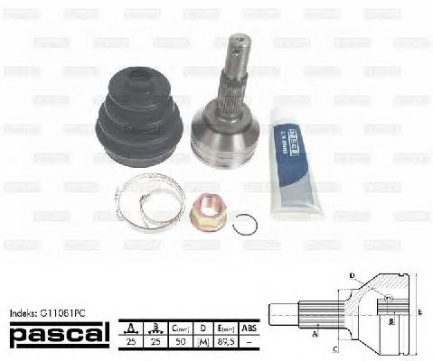Junta homocinética exterior delantera Pascal G11081PC precio, desde 42,96 EUR