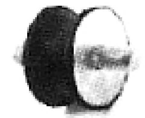 Almohadilla de tope silenciador Metalcaucho 00124 precio, desde 1,86 EUR