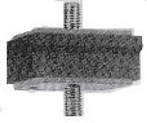 Comprar 030099 Cautex Soporte de tubo de escape