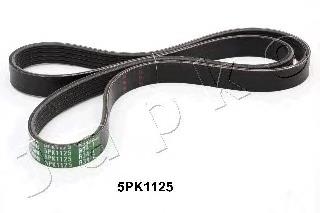 5PK1125 Japko Correa poly v
