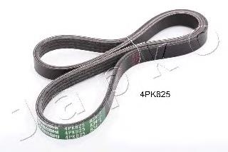 4PK825 Japko Correa poly v