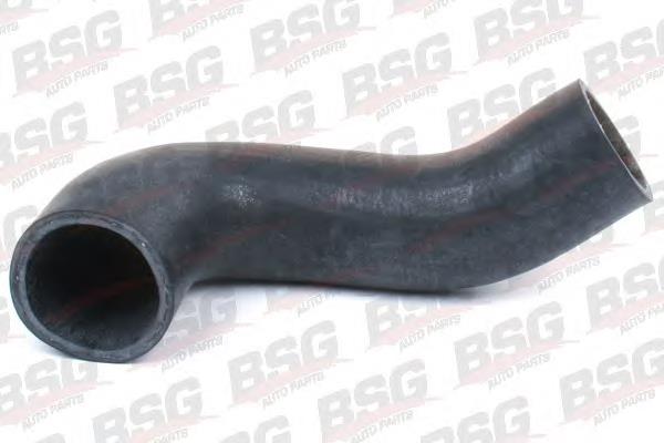 Manguera del intercooler BSG BSG30720098 precio, desde 19,31 EUR