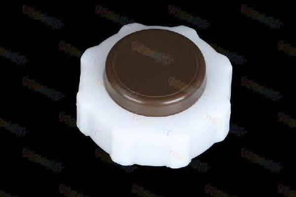 Tapón depósito de refrigerante 5010213367 Renault (RVI)