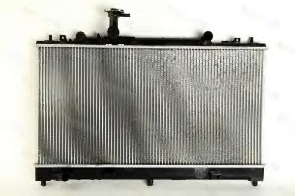 Radiador D73004TT Thermotec