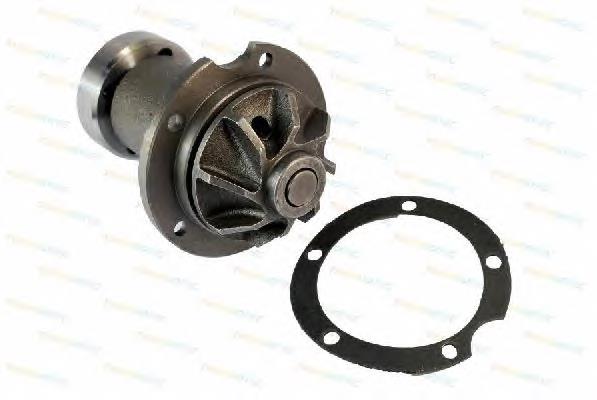 Bombeadora de agua Thermotec D1M006TT precio, desde 42,99 EUR