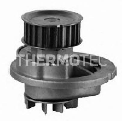 Bomba de agua D1X041TT Thermotec