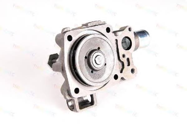 Motor de agua Thermotec D1E006TT