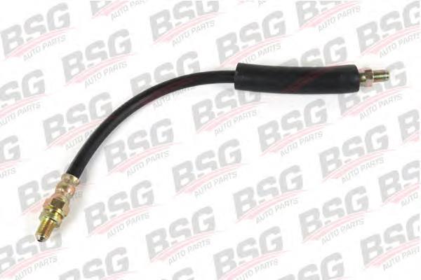 BSG 30-730-015 BSG tubo flexible de frenos trasero