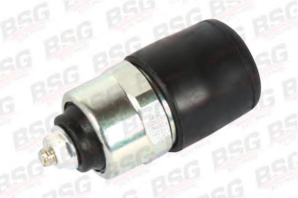Válvula de corte de combustible de la bomba de inyección BSG BSG30840014 precio, desde 11,69 EUR