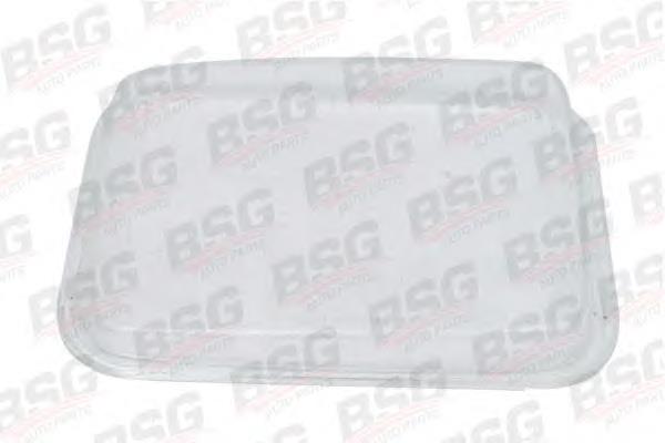 BSG 60-801-006 BSG cristal de faro izquierdo