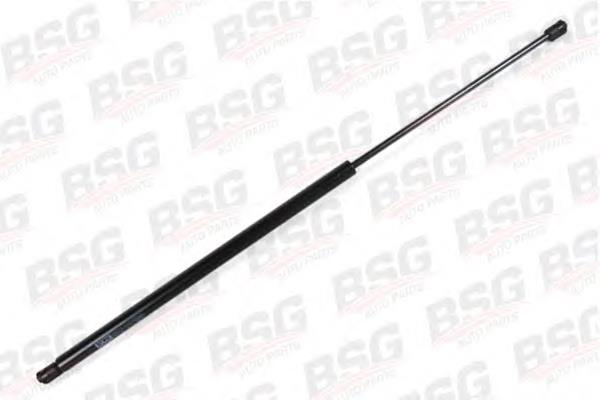 Amortiguador de maletero BSG BSG30980020 precio, desde 15,78 EUR