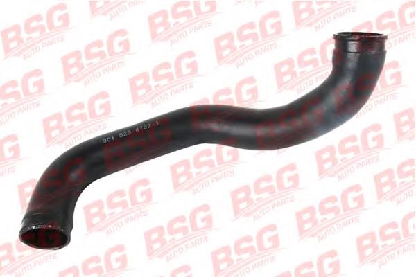Comprar BSG60720009 BSG Tubo intercooler
