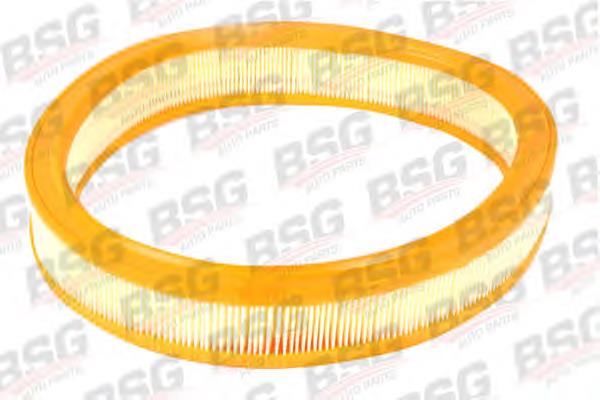 BSG30135008 BSG filtro de aire