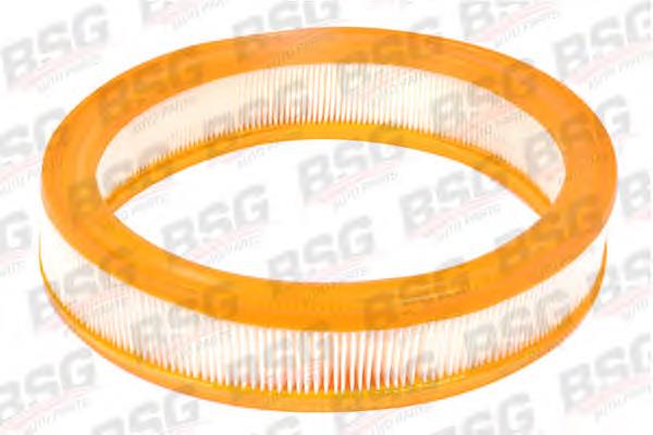 BSG30135013 BSG filtro de aire