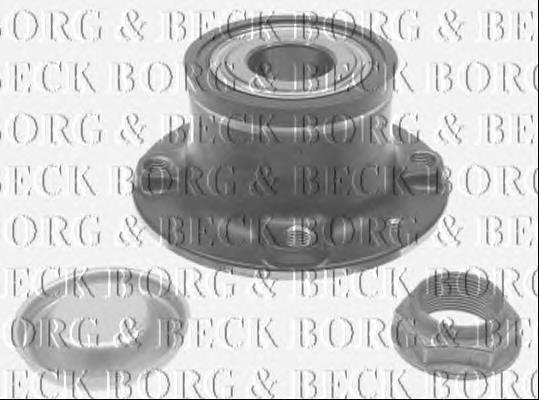 Cubo de rueda trasero BWK1252 Borg&beck