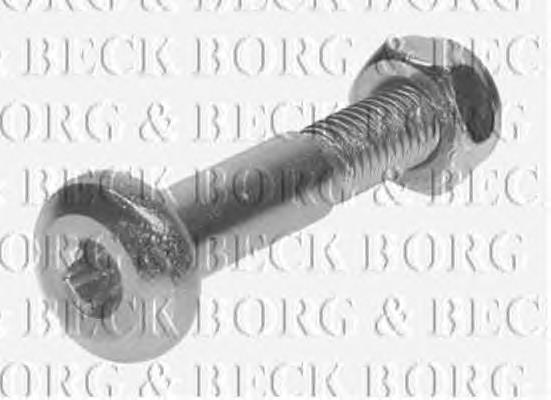 Tornillo de rótula de suspensión delantera a mangueta BSK6848 Borg&beck