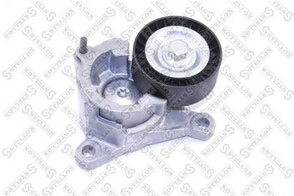 Tensor de correa auxiliar Citroen C5  (2001-2004)