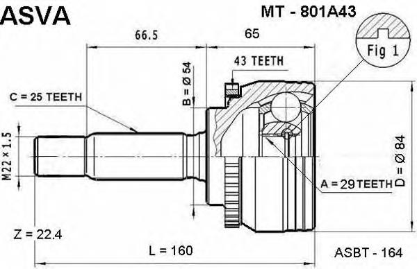 Junta homocinética exterior delantera MT801A43 Asva