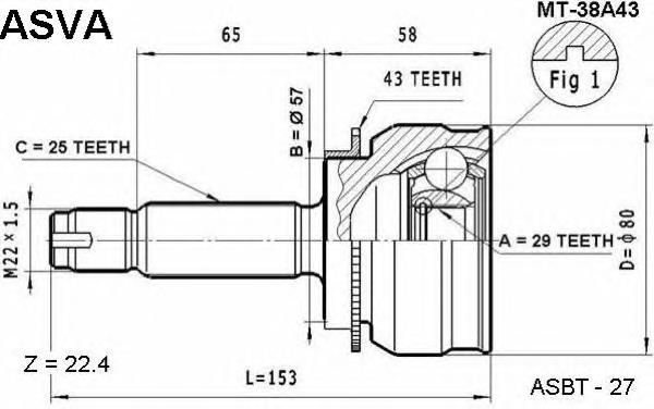 Junta homocinética exterior delantera MT38A43 Asva