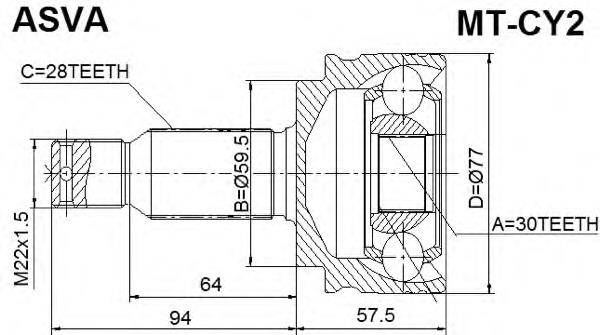 MTCY2 Asva junta homocinética exterior delantera