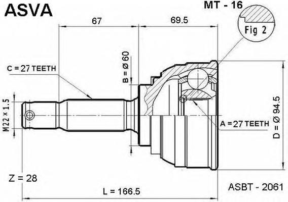 MT16 Asva junta homocinética exterior delantera