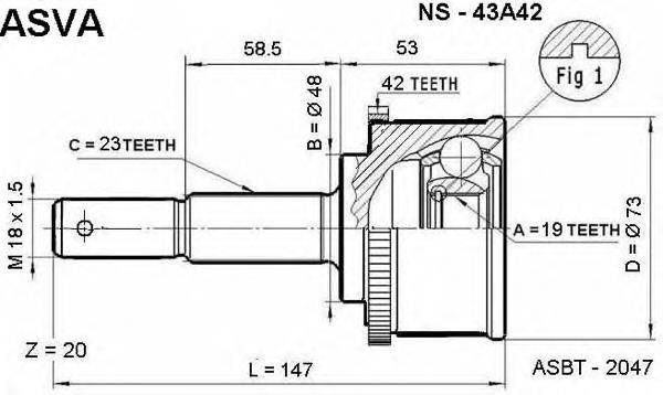 NS43A42 Asva junta homocinética exterior delantera