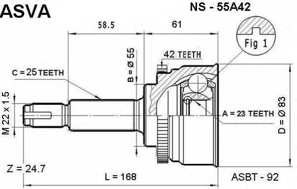 ns55a42 Asva junta homocinética exterior delantera