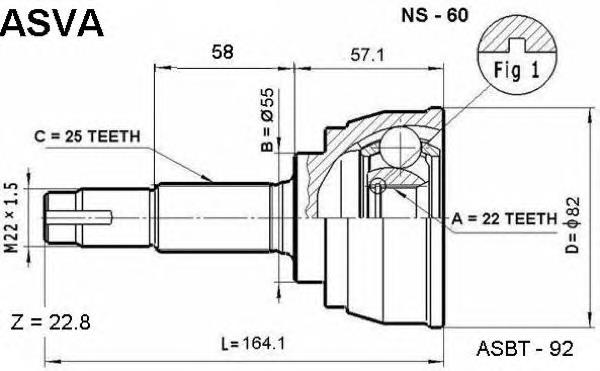 NS60 Asva junta homocinética exterior delantera