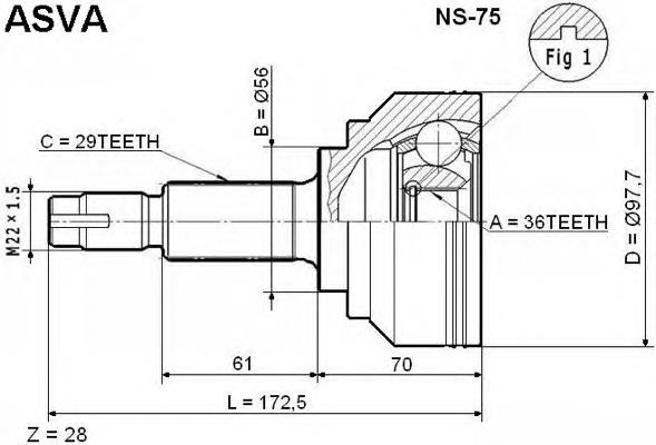 NS75 Asva junta homocinética exterior delantera