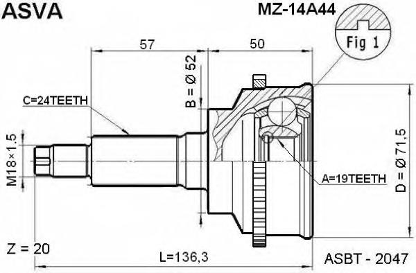 MZ14A44 Asva junta homocinética exterior delantera