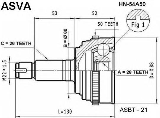 hn54a50 Asva junta homocinética exterior delantera