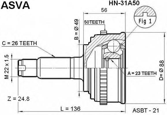 HN31A50 Asva junta homocinética exterior delantera