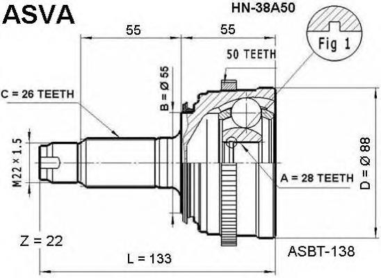 HN38A50 Asva junta homocinética exterior delantera