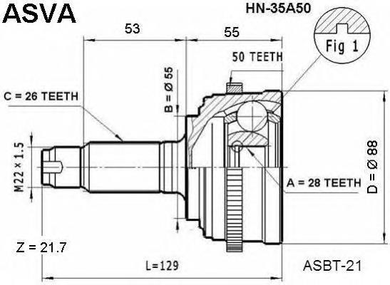 HN35A50 Asva junta homocinética exterior delantera